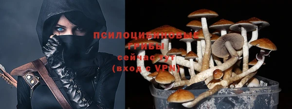 ALPHA-PVP Богородицк