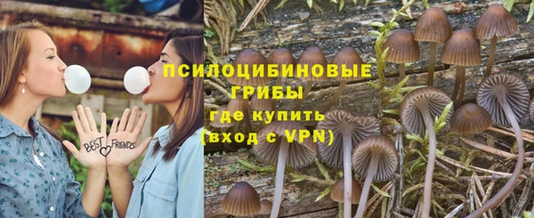 apvp Богданович