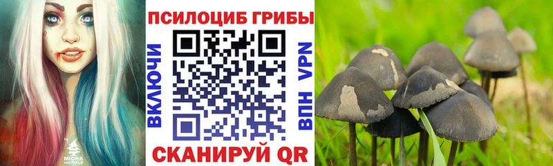 площадка телеграм  Оха  Галлюциногенные грибы прущие грибы 